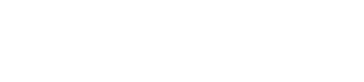 Premium Leather Store